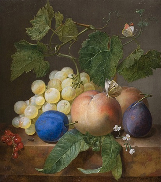 still life with fruit and butterfly